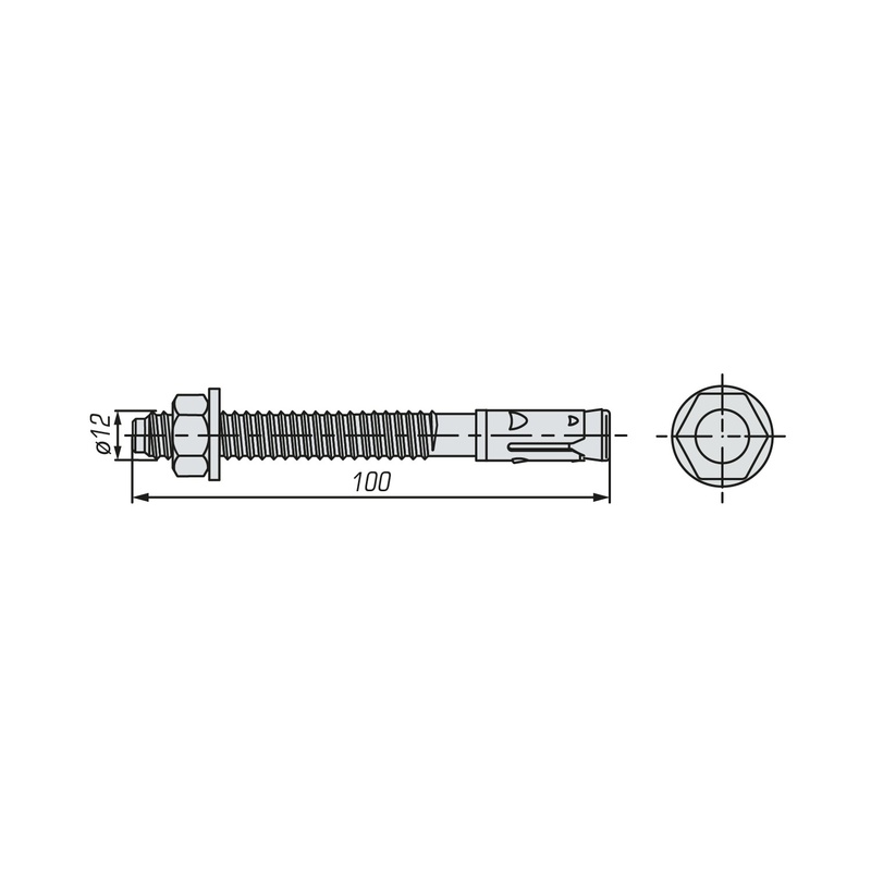 Анкер клиновой SWFS М12х100 (2 шт)