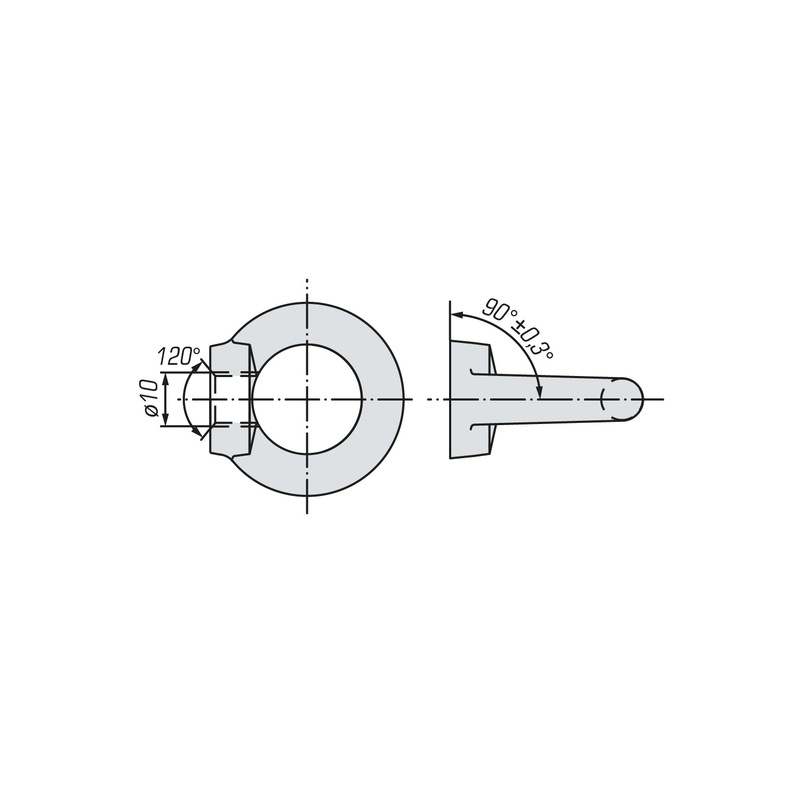 Рым-гайка SWFS DIN582 М10 (250 шт)